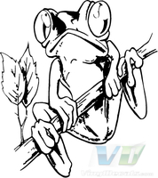 Frog 2