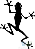 Frog 3