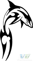 Shark