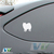 American Eskimo Vinyl Decal