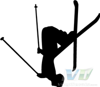 Skiier
