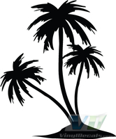 Palm Trees