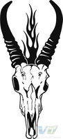 Skull 06