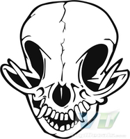 Skull 11
