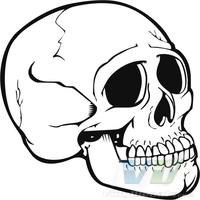 Skull 12