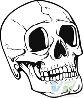 Skull 13 Decal