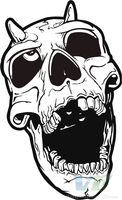 Skull 16