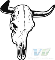 Skull 22