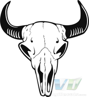 Skull 24