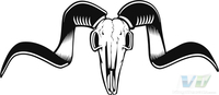 Skull 25