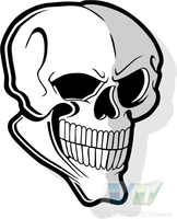 Skull 37