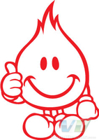 World Industries Skateboarding Flameboy Logo