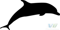 Dolphin 1 Decal