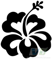 Hibiscus Flower 2
